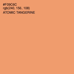 #F09C6C - Atomic Tangerine Color Image